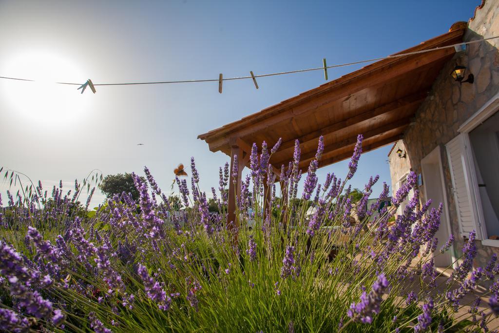 Krcina Holiday Home Црес Экстерьер фото